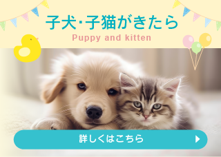 子犬・子猫をお迎えしたら