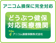 アニコミ損保に完全対応