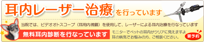 耳内治療の説明画像