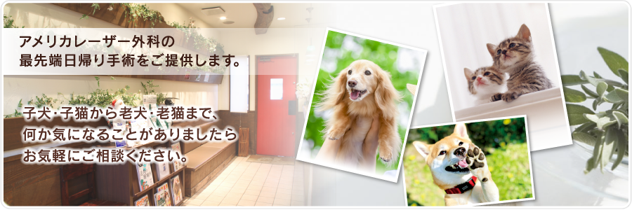 名古屋市の動物病院『ひだまり動物病院動物レーザーセンター(旧 動物レーザーセンター)』