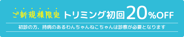 ご新規様限定トリミング初回20%OFF